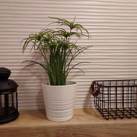 Apartament Sun&Fun - Rowy Rowy  Extérieur photo